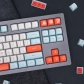 Salmon SA Profile 104+66 Keys MG ABS Doubleshot Keycaps Set for Cherry MX Mechanical Gaming Keyboard